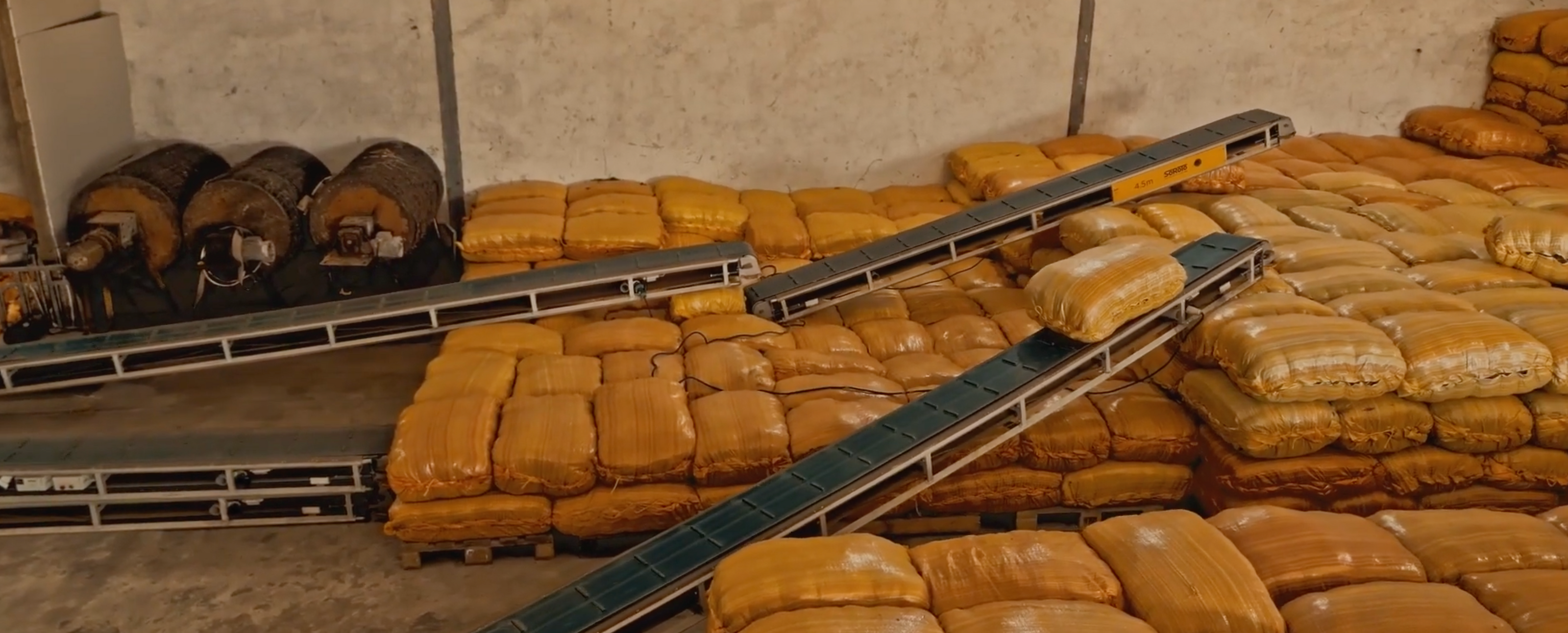 "A win-win for us": how a seaweed producer in Tanzania optimised their entire workflow with SoRoTo conveyor belts