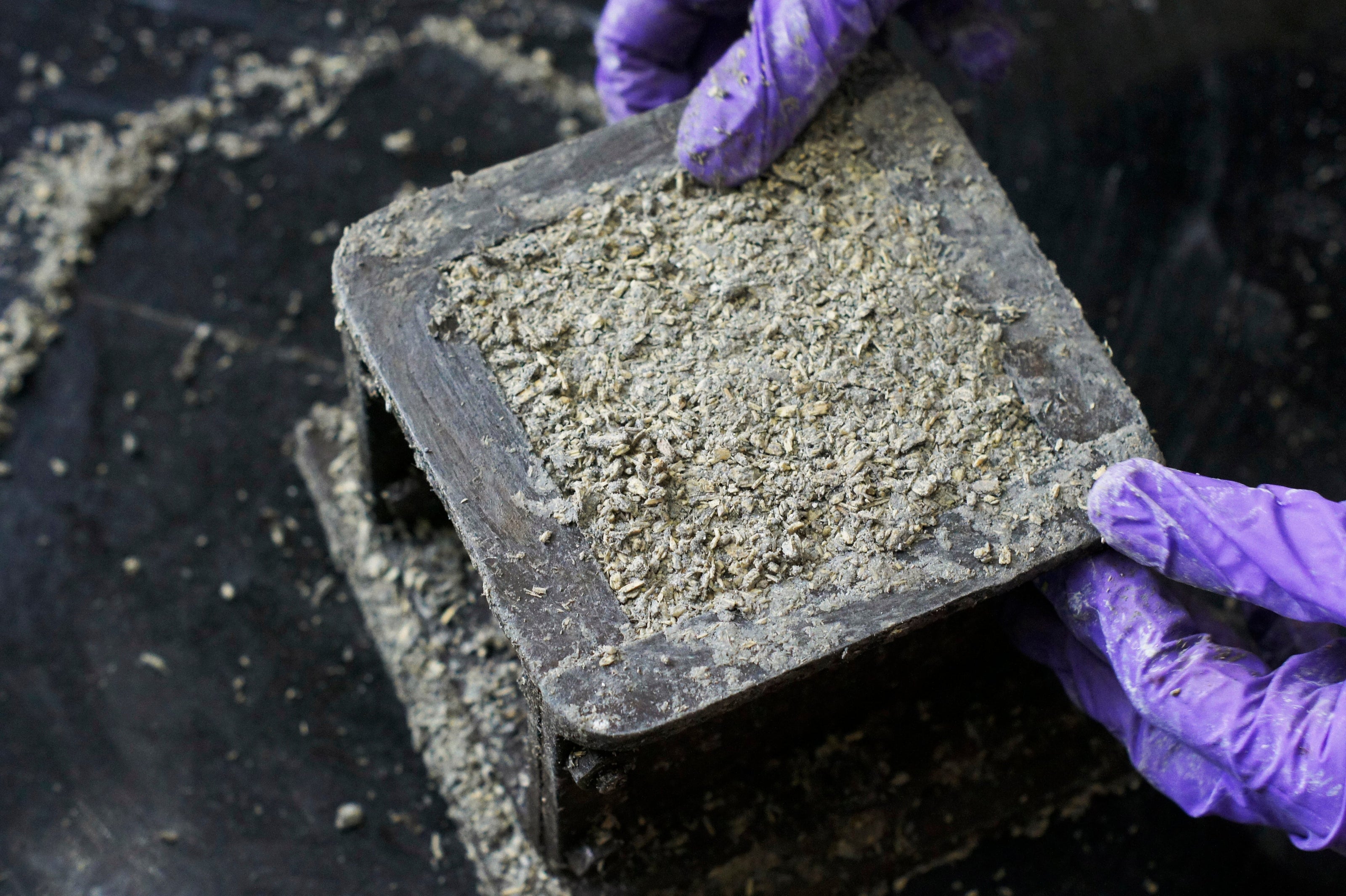 How hempcrete can help the construction sector fight climate change