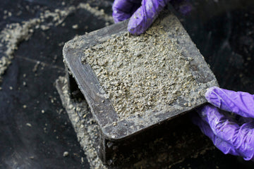 How hempcrete can help the construction sector fight climate change