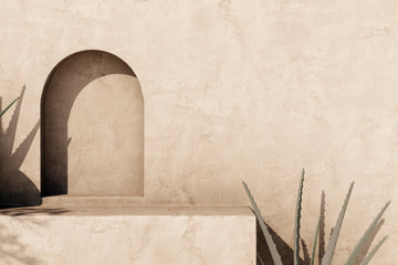 Clay plaster: a circular material for healthy homes